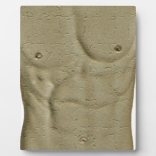 Abs Fotoplaat