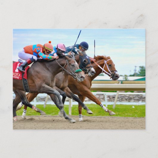 Absentee- Irad Ortiz jr.  Camgo, Irish Roar Briefkaart (Voorkant)