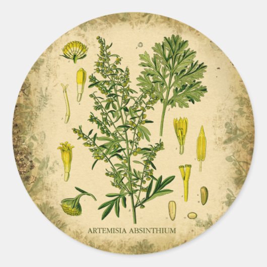 Absinthe Botanische Collage Ronde Sticker (Voorkant)