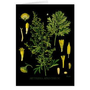 Absinthe d'Artemesia