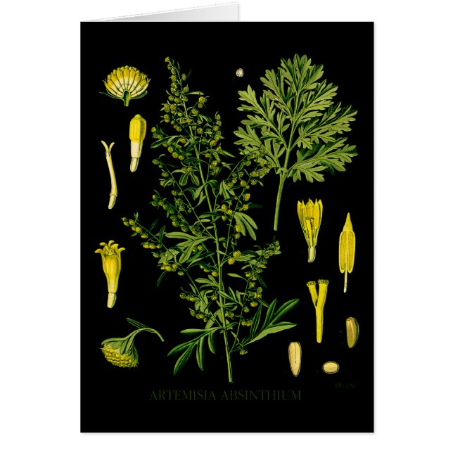 Absinthe d'Artemesia (Devant)