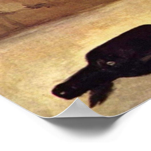 Absinthtrinker Manet, Poster de Douard (Coin)