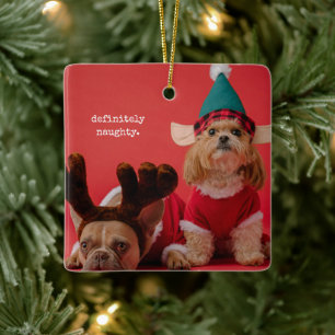 Absoluut ondeugende foto van een huisdier Schattig Keramisch Ornament