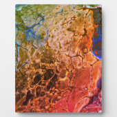 Abstract507 Fotoplaat (Voorkant)