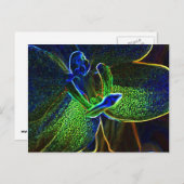 Abstract briefkaart Anthura (Voorkant / Achterkant)