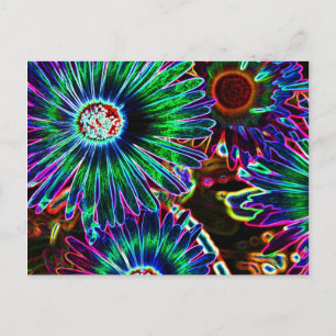 Abstract briefkaart Cape Daisy