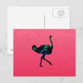 Abstract Briefkaart Ostrich (Voorkant / Achterkant)