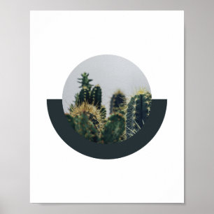 Abstract Cactus Poster 2   8x10