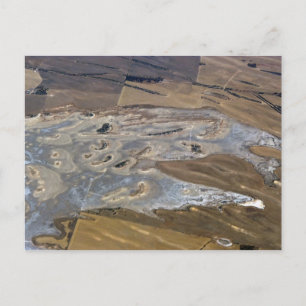 abstract dier briefkaart