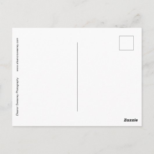 abstract digitaal gewijzigde 'In A Dream'-Rozen Briefkaart (Achterkant)