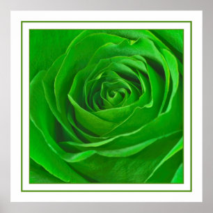 Abstract Emerald Green Roos Center Foto Poster