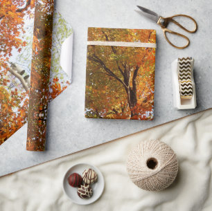 Abstract Herfst Seizoen Esdoorn Ambacht of Cadeaupapier