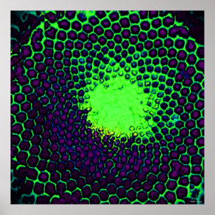 Abstract Honeycomb Design green en paars Poster