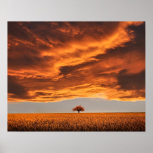 abstract landschap met eenzame natuur poster