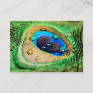 Abstract Macro Peacock Feather Druppelt Visitekaar Visitekaartje