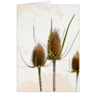 abstract met de dikke kop