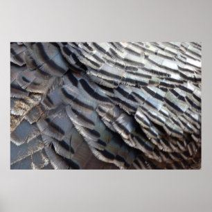 Abstract natuurontwerp met wilde kalkoenveren II Poster