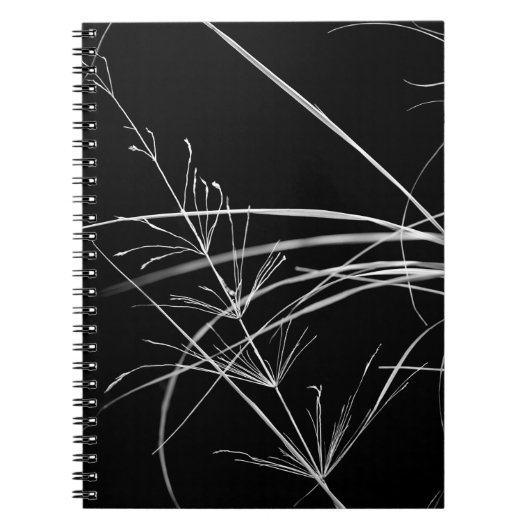 Abstract Notitieboek voor zwarte en witte Natuur (Voorkant)