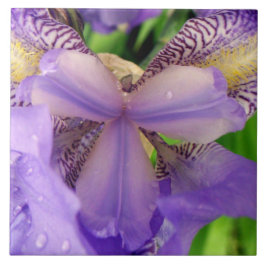 abstract Paars Lily-bloemkeramisch tegels Tegeltje