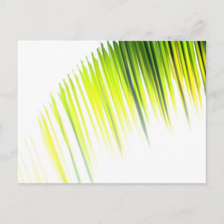 Abstract palm (briefkaart) briefkaart