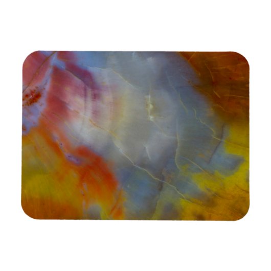 Abstract Petrified Wood close-up Magneet (Horizontaal)