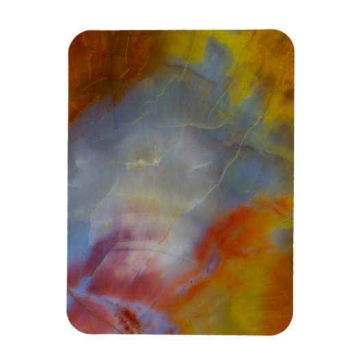 Abstract Petrified Wood close-up Magneet (Verticaal)