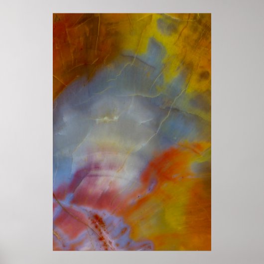 Abstract Petrified Wood close-up Poster (Voorkant)