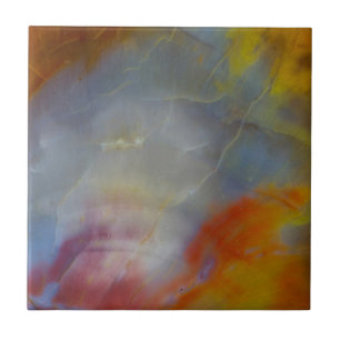 Abstract Petrified Wood close-up Tegeltje