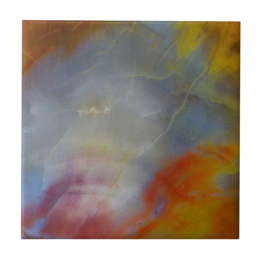 Abstract Petrified Wood close-up Tegeltje (Voorkant)