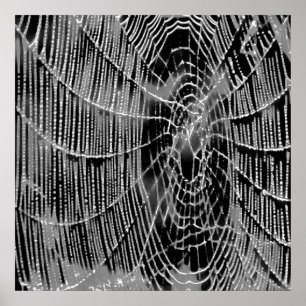 Abstract schilderen van een grijs wit kobweb op zw poster
