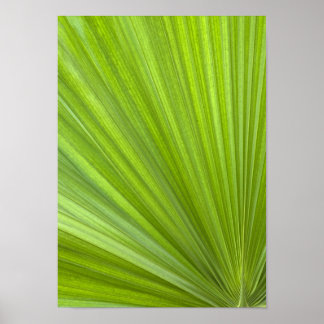 Abstract Tropisch groen palmrond Poster