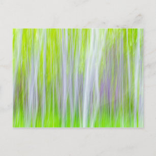 Abstract van Aspen Trees   Yakima River Trail, WA Briefkaart