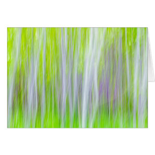 Abstract van Espenbomen Yakima River Trail, WA