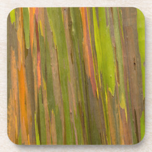 Abstract van Eucalyptusbast Bier Onderzetter