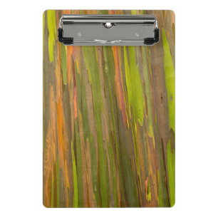 Abstract van eucalyptusschors mini klembord