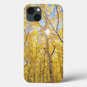 Abstract van Gilia te midden van wilde bloemen C iPhone 13 Hoesje