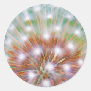 Abstract van paardenbloempluis ronde sticker