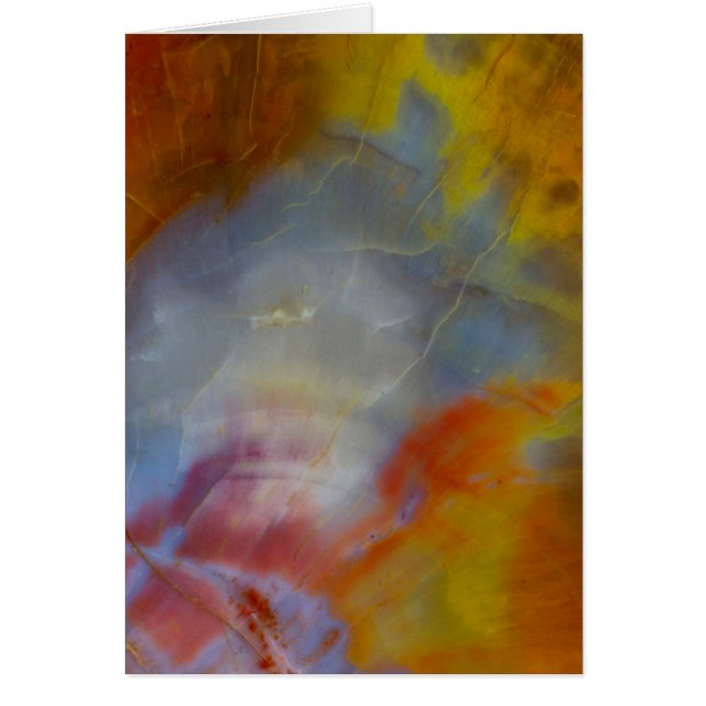 Abstract versteend hout close-up (Voorkant)