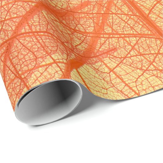 Abstract Wraps 11 Cadeaupapier (Rol Hoek)