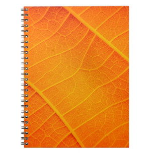 Abstracte afsluiting van een oranje en gele bladte notitieboek