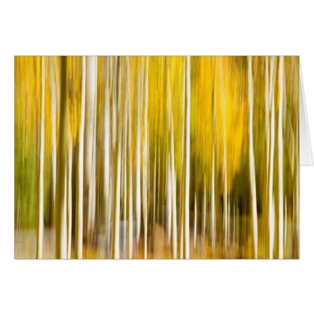 Abstracte asfalten (Voorkant Horizontaal)
