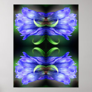 Abstracte blauw Gentian Flower Poster