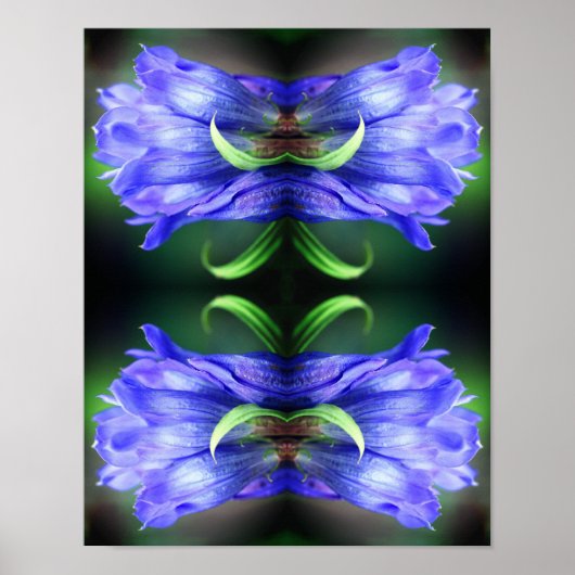 Abstracte blauw Gentian Flower Poster (Voorkant)