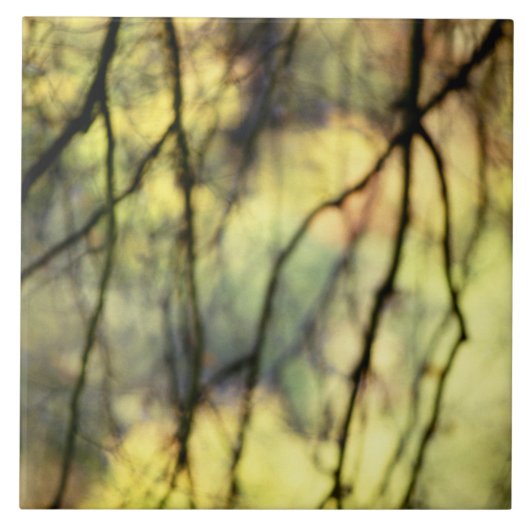 Abstracte bomen tegeltje (Voorkant)