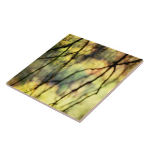 Abstracte Bomen Tegeltje