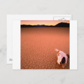 Abstracte Bone Dry Death Valley Briefkaart (Voorkant / Achterkant)