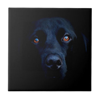Abstracte Dark Dog Tegeltje