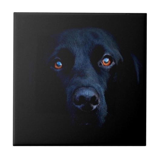Abstracte Dark Dog Tegeltje (Voorkant)