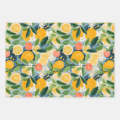 ABSTRACTE DECORATIEVE PAPIERSET VAN CITRUS EN BLOE INPAKPAPIER VEL (Voorkant 2)