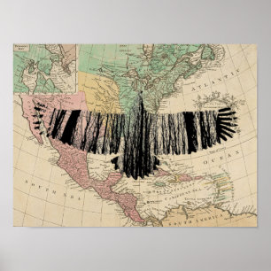 Abstracte Eagle Tree Silhouettes  USA Map Poster